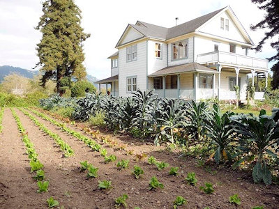 farmstand